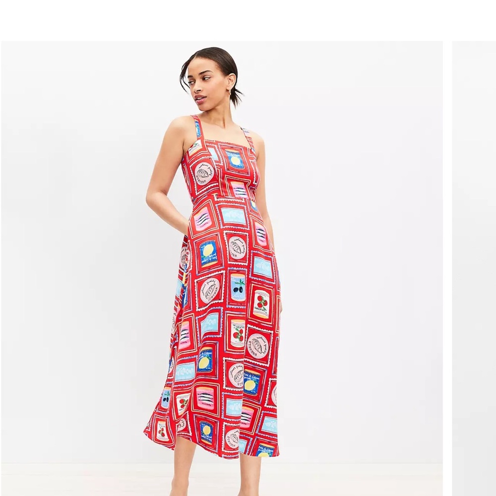 Loft Can Print Dress